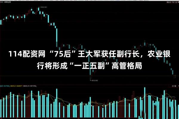114配资网 “75后”王大军获任副行长，农业银行将形成“一正五副”高管格局