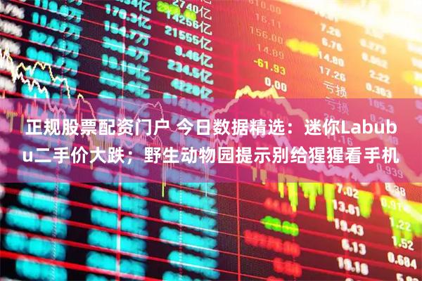 正规股票配资门户 今日数据精选：迷你Labubu二手价大跌；野生动物园提示别给猩猩看手机
