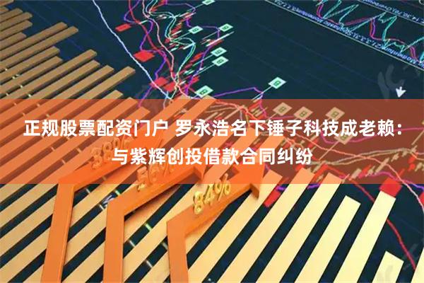 正规股票配资门户 罗永浩名下锤子科技成老赖：与紫辉创投借款合同纠纷